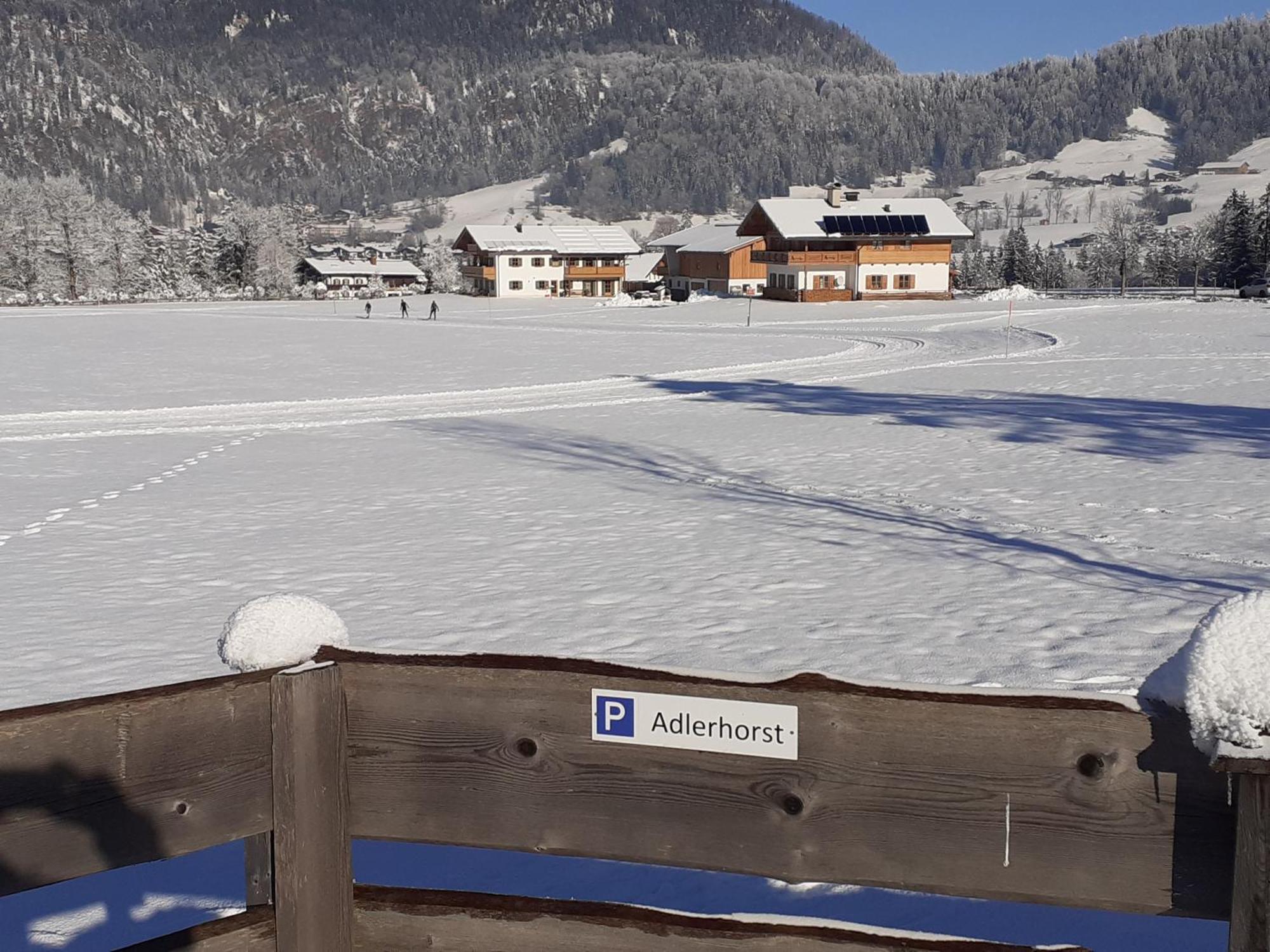 Ferienwohnung Adlerhorst Im Haus Lohrey Reit im Winkl Exterior photo